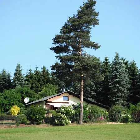 Waldgrundstück P * Mehltheuer